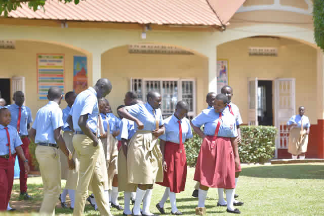 Academic boy in classroom